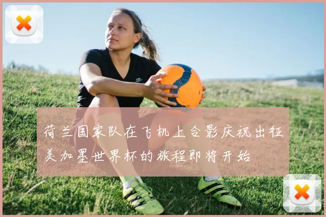 荷兰国家队在飞机上合影庆祝出征美加墨世界杯的旅程即将开始