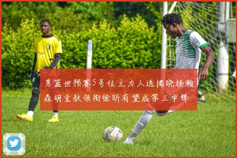男篮世预赛5号位主力人选揭晓杨瀚森胡金秋领衔徐昕有望成第三中锋