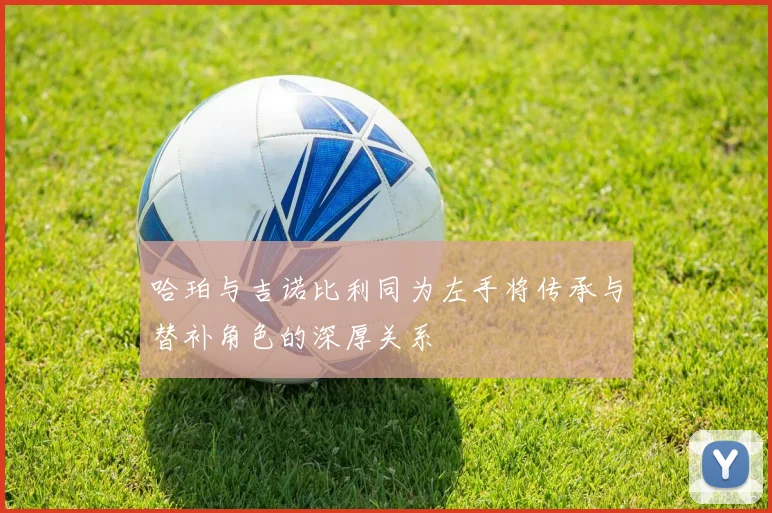 哈珀与吉诺比利同为左手将传承与替补角色的深厚关系